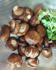 Fresh Shitake Mushrooms in Stainless Steel Basket.