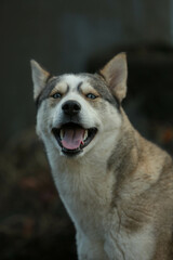 smile