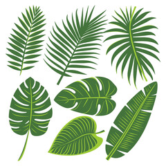 set of lush, green tropical leaves in various shapes and sizes rest on a clean white background