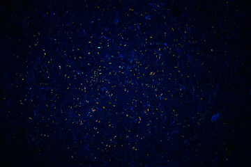 Fototapeta premium Dark blue with golden slivers background