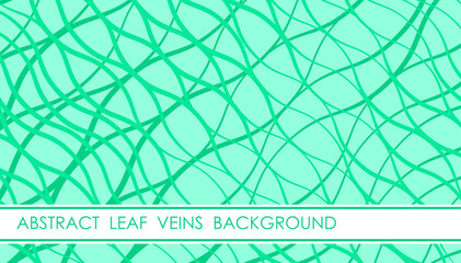 Horizontal green leaf with veins abstract background with leaf macro photography, cover, site presentation in HD format. UI template layout for web design of internet products. Vector banner