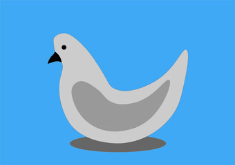 grey bird sideways on a blue background