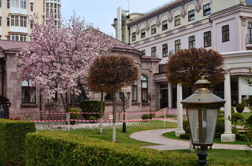 spring landscape with blooming magnolia near the hotel building in Essentuki, Russia
