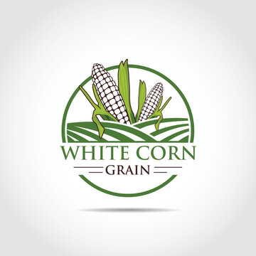 Field Corn Agriculture Logo template. Vector Illustrator
