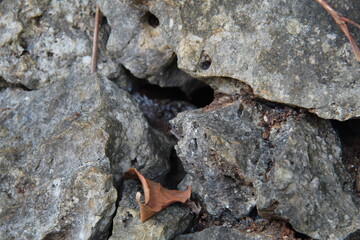 A sharp gray rock pile. Suitable for texture and background themes