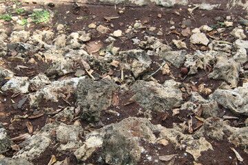 A sharp gray rock pile. Suitable for texture and background themes