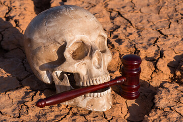 Human skull and judge's gavel on heat-cracked clay in the desert