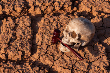 Human skull and judge's gavel on heat-cracked clay in the desert