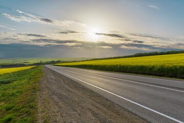 Auto road overlooking rapeseed fields. Asphalt road on a summer day against the backdrop of yellow rapeseed flowers. - obrazy, fototapety, plakaty