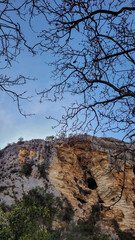 Landscape with tree branches and a rocky wall, Sicily.