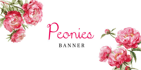 Watercolor pink peonies banner png. Template for wedding themes, invitations, and other events. Bouquets of pink peonies. vector watercolor botanical illustration. © Narin