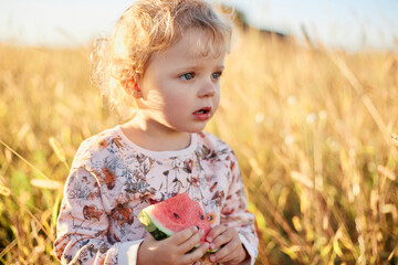 Adorable Caucasian baby girl outdoors at sunny summer day enjoying tasty delicious watermelon looking away with curious facial expression posing in golden field