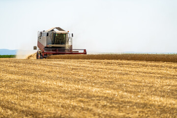 Combine harvester at work, cutting through ripe wheat in a sprawling field under a clear sky