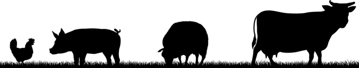 A farm animals scene with silhouettes of cows chicken, sheep and pig in a grass field scene landscape © Christos Georghiou