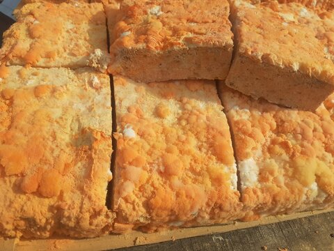 Raw oncom on a wooden shelf at a traditional roadside market trader.Oncom is mushroom-infused tempeh made from peanut cake and tofu dregs.Oncom is a fermented food with several types of mold.