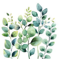 Watercolor set of green branches with leaves. Branches of green leaves, greenery, natural leaves, tropical elements for wedding invitations, stationary, greetings, wallpapers. 