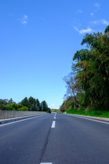Fototapeta premium 青空と道路と林