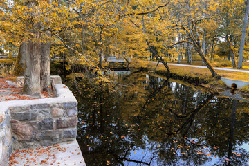 Fall in the Kemeri park, Latvia