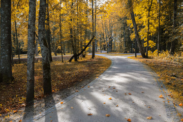 Fall in the Kemeri park, Latvia - obrazy, fototapety, plakaty