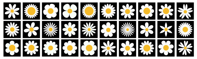 Daisy chamomile flower big set. White camomile square icon. Growing concept. Cute round plant collection. Love card. 30 sign symbol shape form. Flat design. Black background. Isolated. Vector