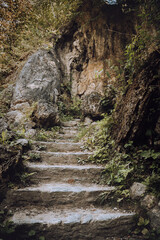 stairs in the forest
