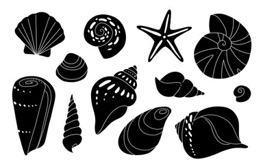 Sea shell cartoon set. Ocean exotic underwater seashell conch aquatic mollusk, sea spiral snail collection. Tropical beach shells. Modern flat style isolated on white background. Vector illustration