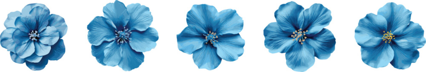 Blue Blooms Assortment, Various Design Elements, Isolated on Transparent Background, PNG with Clipping Path