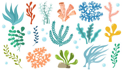 Coral set. Ocean plants, underwater flora, seaweed. Aquatic plant, algae, tropical seabed elements vector set