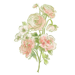 Oil painting abstract bouquet of ranunculus, rose, peony and jasmine. Hand painted floral composition isolated on white background. Holiday Illustration for design, print, fabric or background.