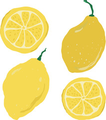 Vector abstract lemons set. Hand painted fruits isolated on white background. Holiday Illustration for design, print, fabric or background.