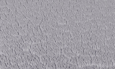 white fur background 