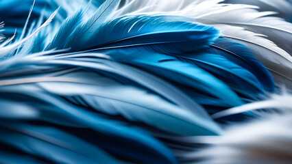 Abstract feather images in blue tones