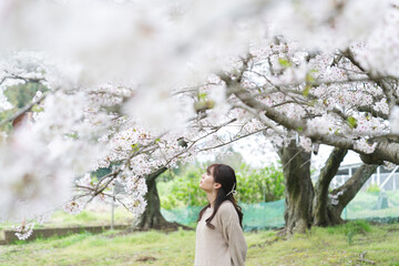 満開の桜と女性