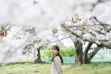 満開の桜と女性