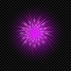 Obraz premium Bright firework illustration on transparent background