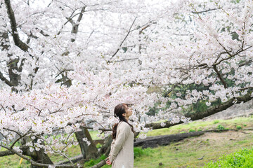 満開の桜と女性