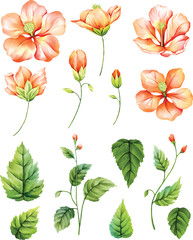 set of illustrations of flowers, elements suitable for textile fabric print patterns