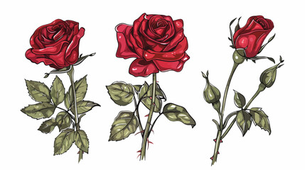 Rose. Flower design element. Hand drawn style vector