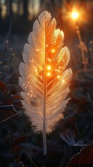 Archangels Feather, divinitys touch, quill shedding holy light upon the earth, detailed radiance, evening blessing, heavenly grace - obrazy, fototapety, plakaty