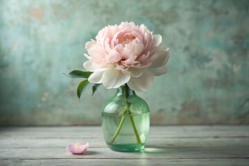 Beautiful white and pink peonies in glass vases on a wooden table. Flowers and buds in a vase. Light, white, pink green floral background.