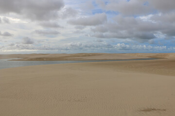 sand dunes on the beach
