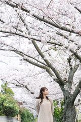 桜と女性