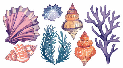 Set of Four gorgeous hand drawn seashells corals