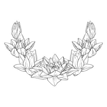 recommend clip art: Lotus Flowers with leaves Sketch. Black outline vector illustration painted by black inks. Hand drawn Etched Line pattern with blooming waterlily for decor, wallpaper, poster, banner, card
