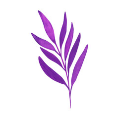 Watercolor floral and leaves element, watercolor branches design