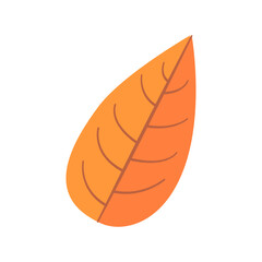 lovely tropical leaf with flat design