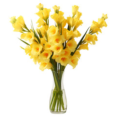 Yellow flowers in a vase Alatus isolated on white background