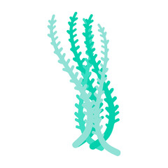 Flat coral illustration on white background