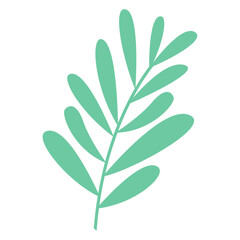 Leaves, symbol spring and growth, plant branch on white background