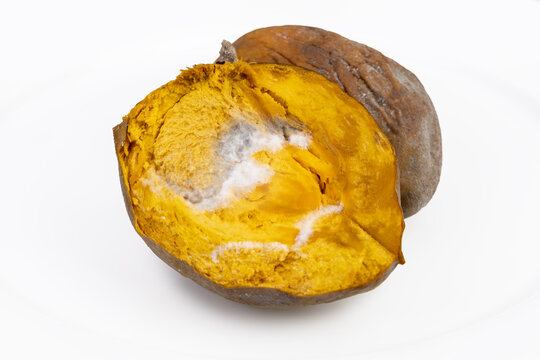 Moldy egg peach on white background.